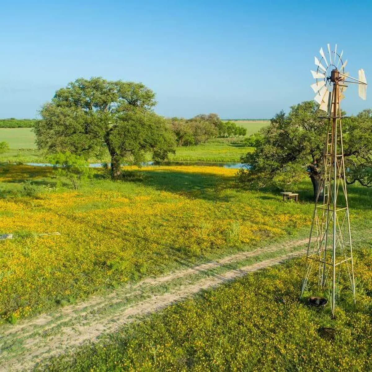 1000 Acres of land item card in the Spend Elon Musk Money simulator